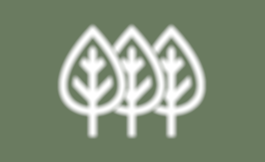 Administrative Fellowship