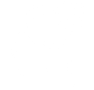 other cognitive other cognitive